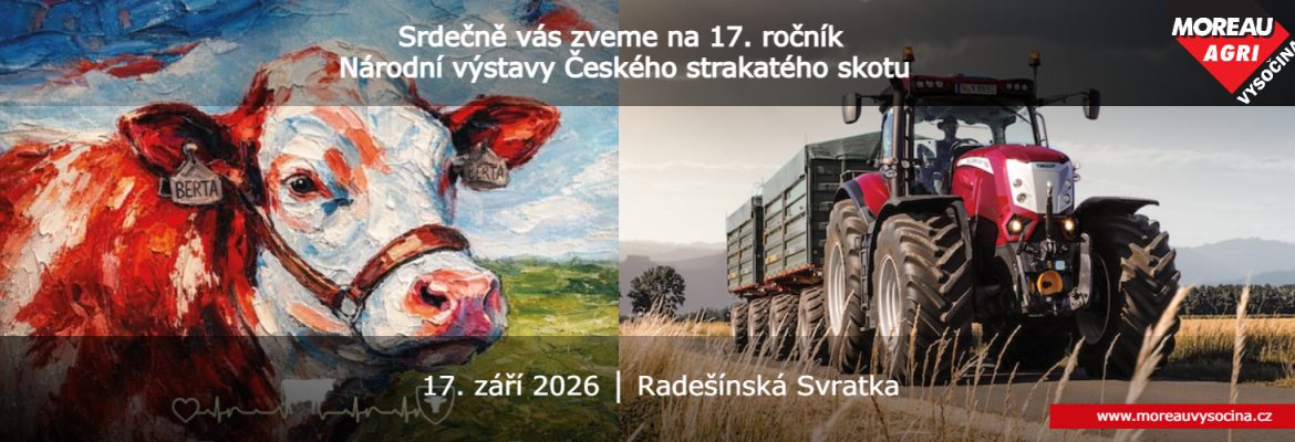 Pozvánka 